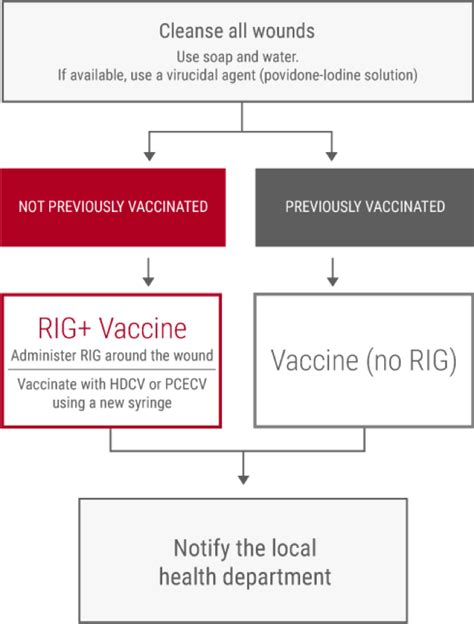 Rabies Postexposure Prophylaxis Guidelines Rabies Watch