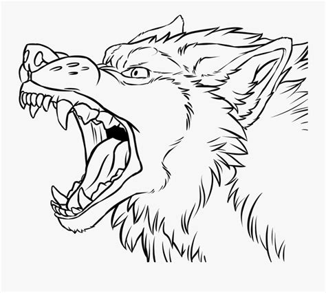 Angry Wolf Face Drawing At Getdrawings Snarling Wolf Coloring Pages
