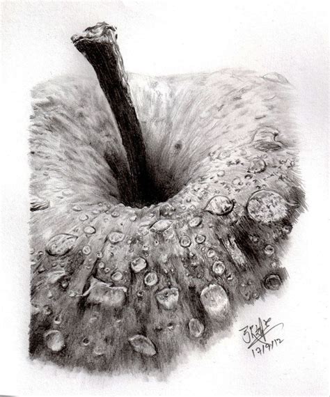 Pencil Sketch Of An Apple Done With 2b Mechanical Pencil Kneaded
