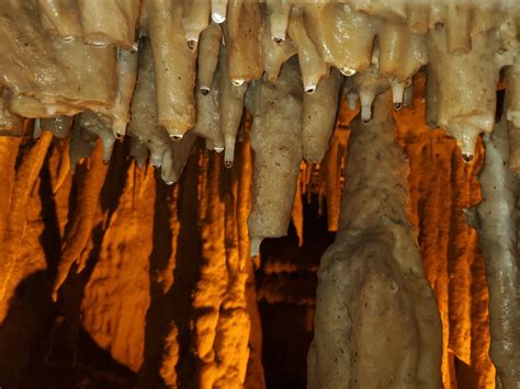 Stalactites Stalagmites And Cave Formations Mammoth Cave National
