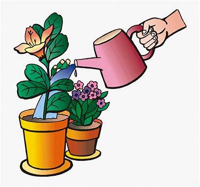 Watering Plants Clipart Water Plant Cartoon Uses