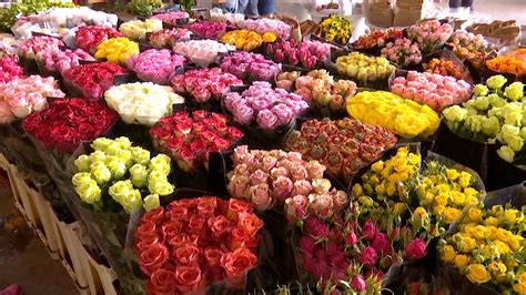 Kunming Remains One Of Worlds Top Flower Markets Cgtn