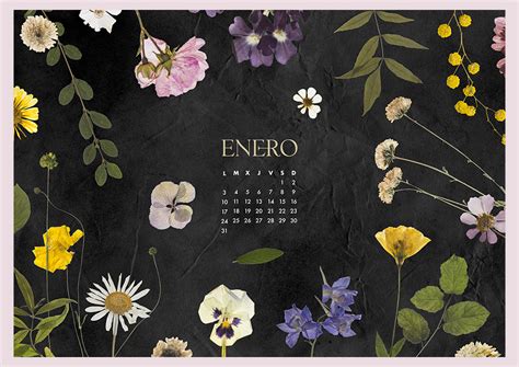 Calendario Enero 2022 Imprimible Y Fondo De Pantalla Mlc Estudio