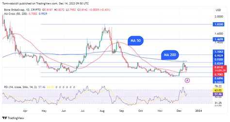 Shiba Inu Bone Jumps As Shibarium Sees Explosive Transaction Rise