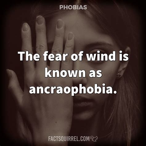 The Fear Of Wind Is Known As Ancraophobia Fact Squirrel