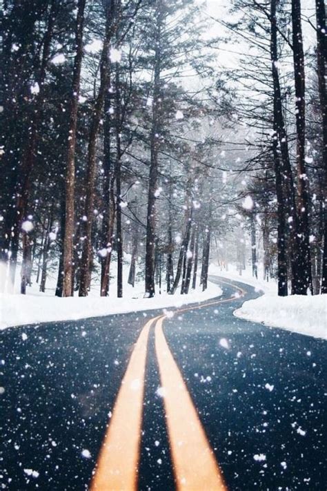 The Sensational World Of Snow Photography Bored Art