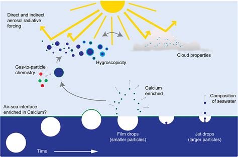 Calcium Enrichment In Sea Spray Aerosol Particles Salter 2016 Geophysical Research Letters