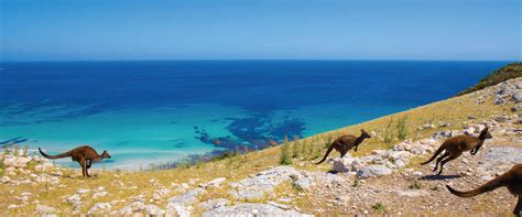 Outdoor Activities And Things To Do In Kangaroo Island Sa Tourism