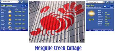 The Mesquite Creek ~mesquite Creek Woods Monday Update~ End Of The