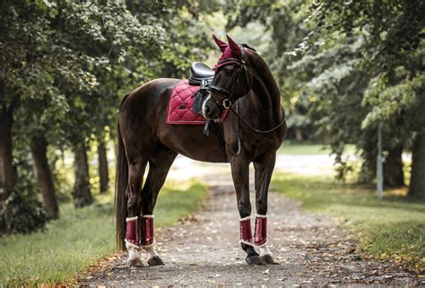 Equestrian stockholm offers exclusive gear and apparel for riders and their horses around the world. Dressage Saddle pad Bordeaux | Equestrian Stockholm