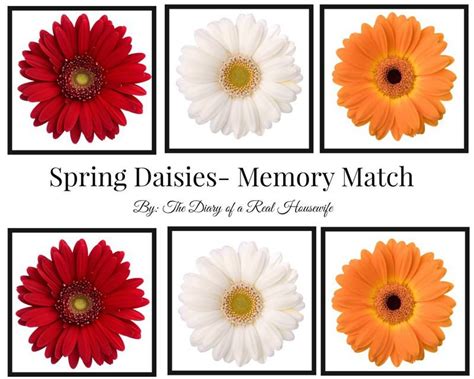Free Printable Spring Flower Memory Match The Diary Of A