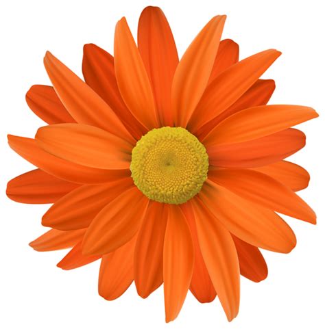 Orange Flower Transparent Png Clip Art Flower Clipart Flower