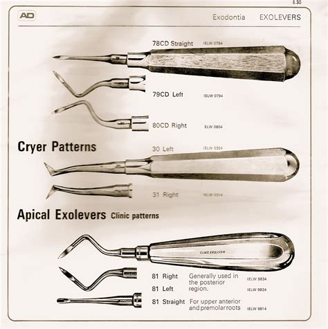 Oral Surgery Instruments Quiz Elomix