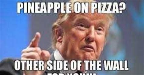 Putting Pineapple On Pizza Meme