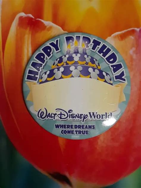 Walt Disney World Happy Birthday Where Dreams Come True Pin Back