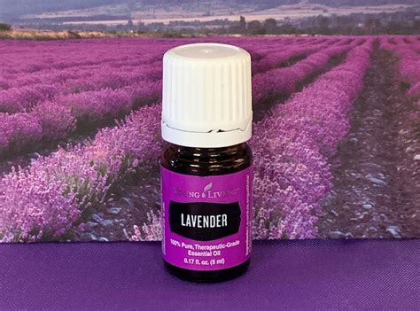 Young Living Essential Oil Lavender 5 Ml 2 Ml 1 Ml Samples Etsy