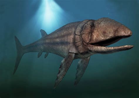 This Ancient Fish Was Bigger Than A Whale Shark—and Faster Than