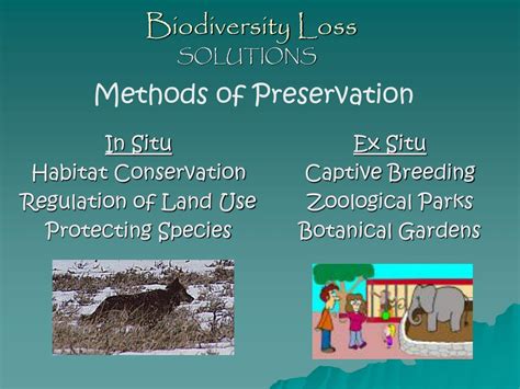 Ppt Biodiversity Loss Powerpoint Presentation Free Download Id140846