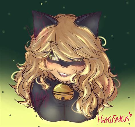 Female Chat Noir Tumblr Peacock Miraculous Miraculous Ladybug Fan Art Meraculous Ladybug