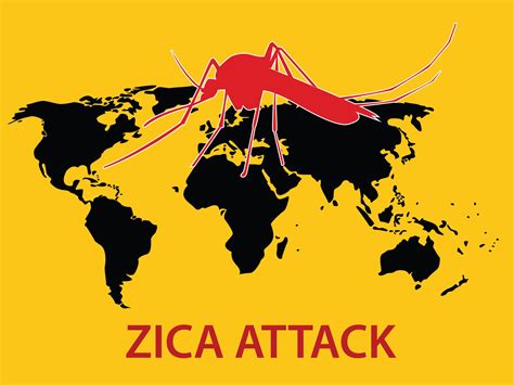Zika Virus Headed To Europe Who Alerts Several European Countries