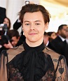 Harry Styles's Hottest Outfits You Would Want To Wear: Take A Look ...