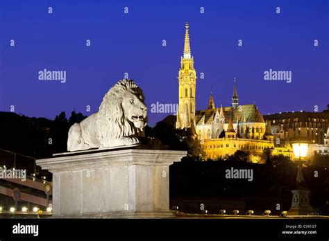 Lion Sculpture On Chain Bridge In Budapest Hoodoo Wallpaper