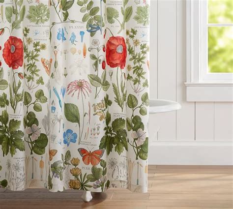Poppy Botanical Print Shower Curtain Pottery Barn