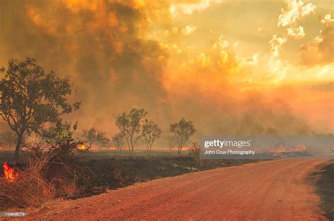 Australian Bush Fires High Res Stock Photo Getty Images