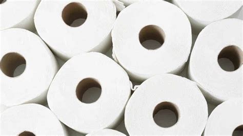 10 Best Septic Safe Toilet Paper For Your Septic Tank Revealed 2023
