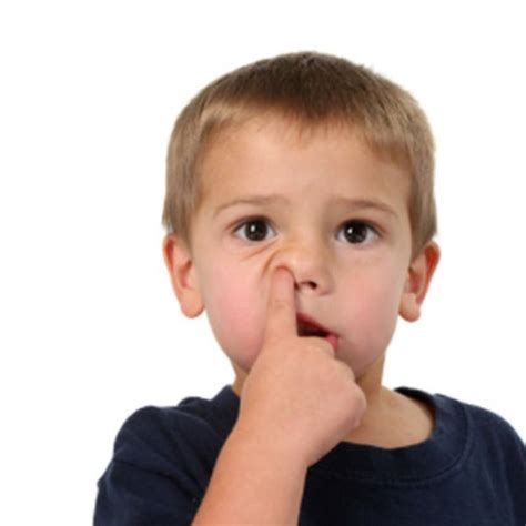 Picking Your Nose Might Be Good For Your Health Small Joys