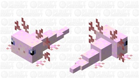 This cute pixel axolotl is a neutral mob that attacks other mobs and the player in the interesting computer game minecraft. Axolotl Minecraft Mob Skin