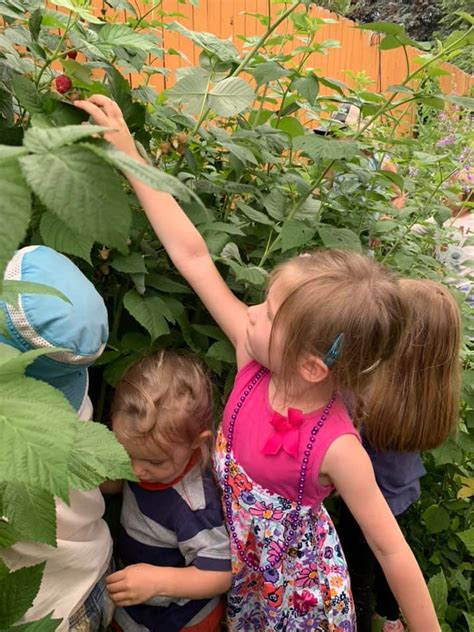 Sunflower Preschool Nature Explore Program