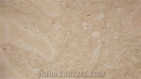 Classic Coral Stone Golden Coral Stone Slabs From Dominican Republic