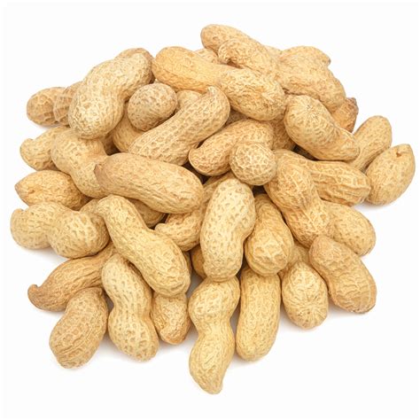Peanuts Raw In Shell Jumbo Nuts Wholesale Bulk Nutsite