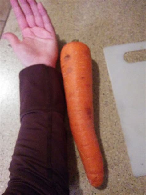 Huge Carrot I Bought From The Market Yelp