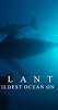 Atlantic: The Wildest Ocean on Earth (TV Series 2015– ) - IMDb