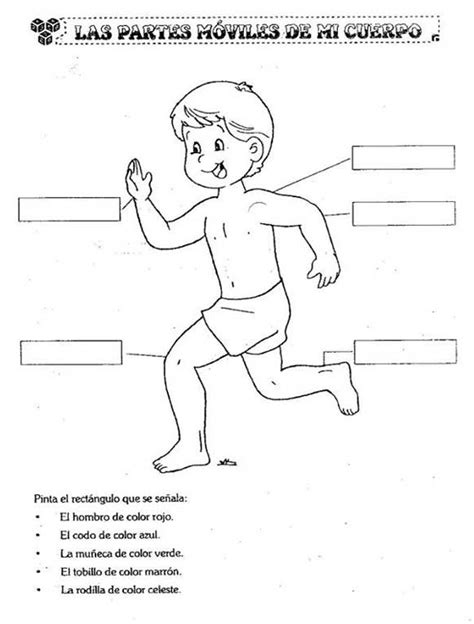 Descubriendo Nuestro Cuerpo Fichas De Repaso