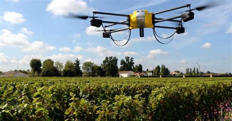 Applications Of Artificial Intelligence In Agriculture Agricultural