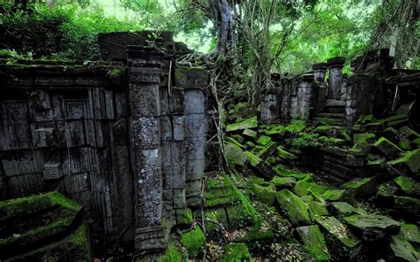 Jungle Ruins Wallpapers Top Free Jungle Ruins Backgrounds