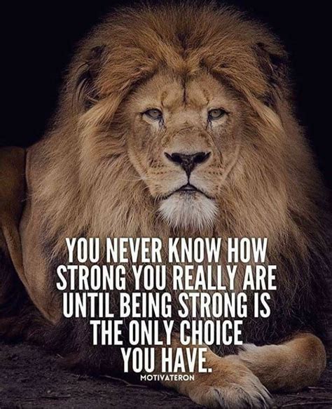 Pin By Melissa Peterson On Leo Pix Lion Quotes Life Quotes Warrior