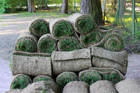 Stacks Of Sod Rolls For New Lawn In The Gatchina Park Stock Image