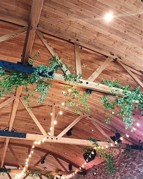 Smilax On The Beams 😍 Preparing For Another Gorgeous Smilax Filled