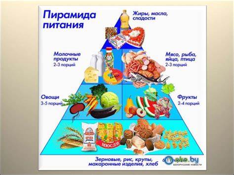 Физиология питания диета Физиология питания. (8 класс) - презентация онлайн Физиология питания. (8 класс) - презентация онлайн Физиология питания диета