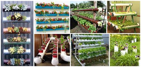 20 Most Easy Diy Pvc Ideas To Have A Garden For Small Space Huerto