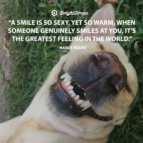 Collection Of Amazing 4k Smile Quotes Images Over 999 To Choose From