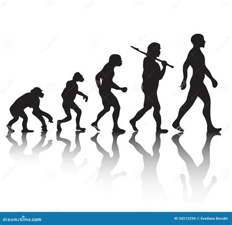 Human Evolution Stock Vector Image 54215294