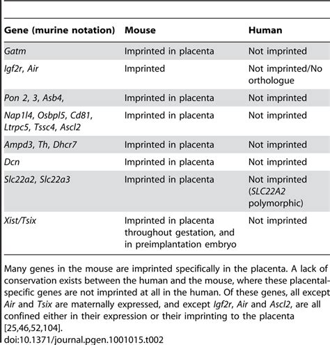 Conservation Of Imprints In Human And Mouse Igcotagoacnz