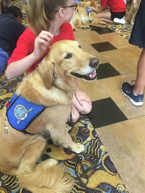 Comfort dogs, handlers from across U.S., Texas travel to console