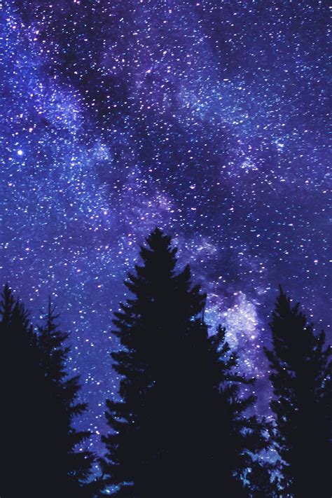 Download Wallpaper 800x1200 Starry Sky Trees Silhouette Night Dark