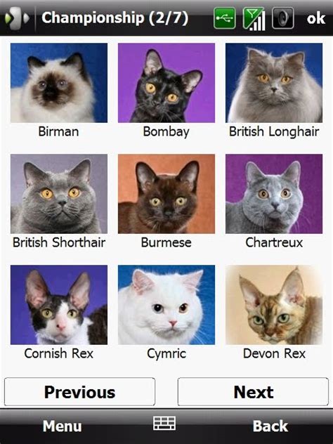 All Breeds Of Cats List With Pictures Insured By Laura